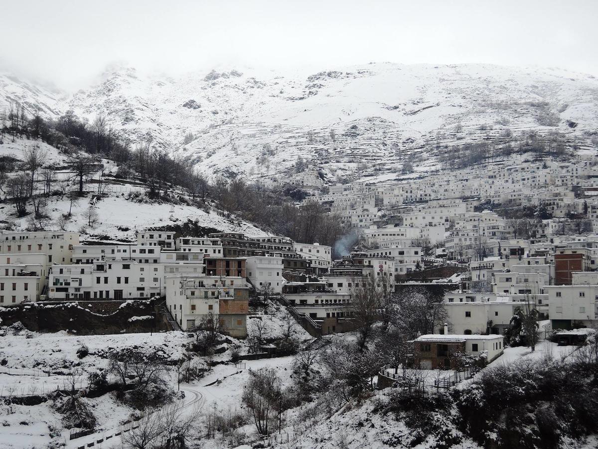 Casa Rosa Daire Trevélez Dış mekan fotoğraf